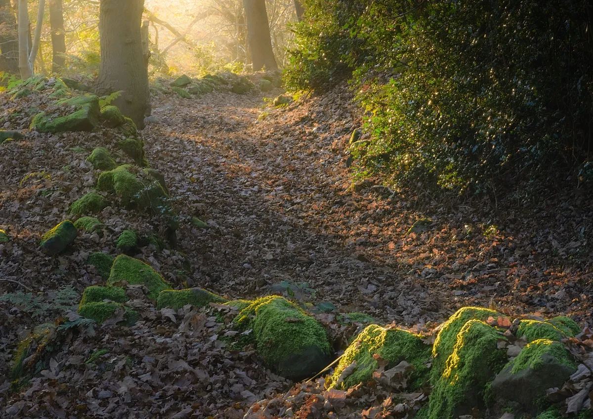 Sandstone Trail, Sunrise