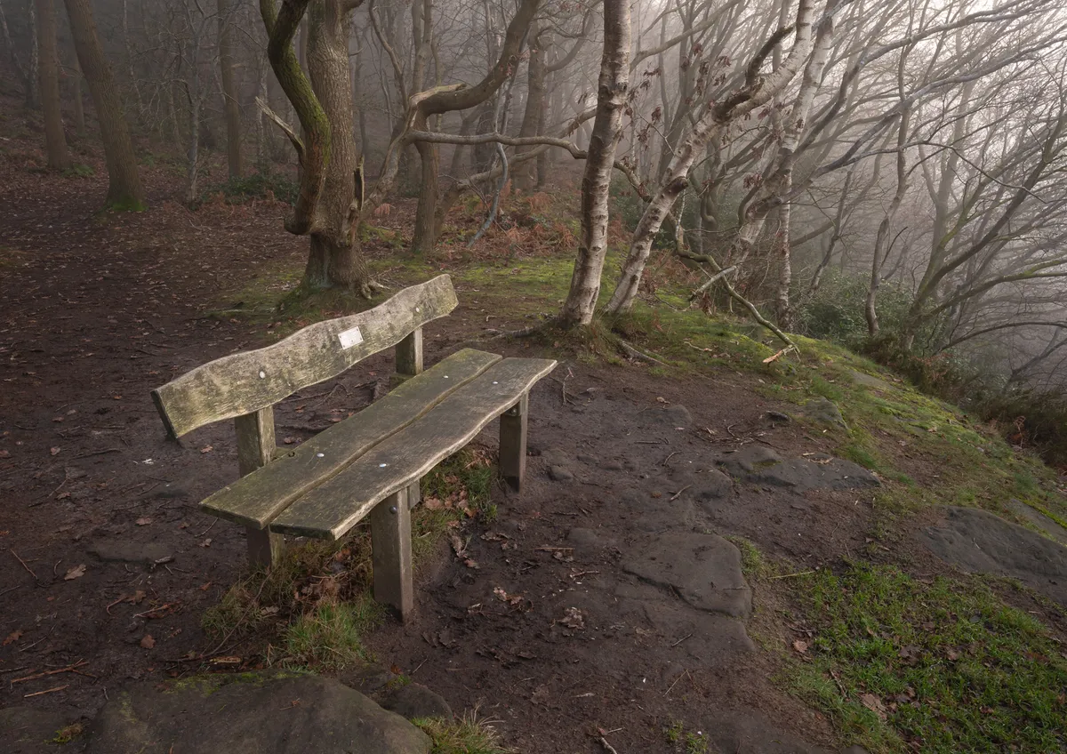 Woodhouse Hill Misty Bench