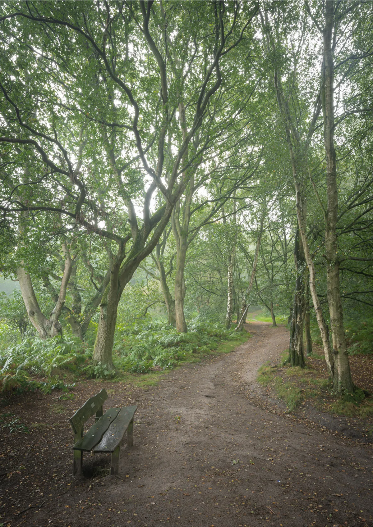 Sindley Moor Sandstone Trail
