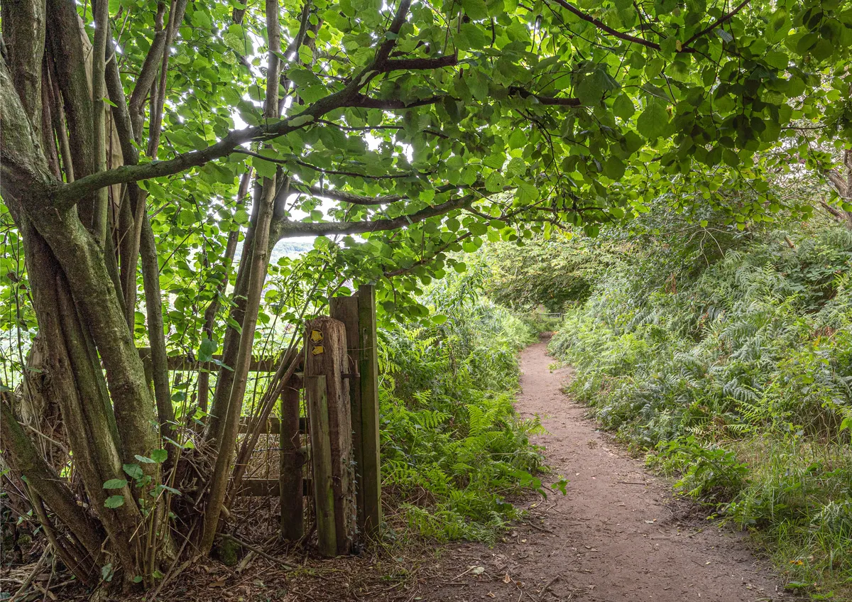 To The Conker Caves