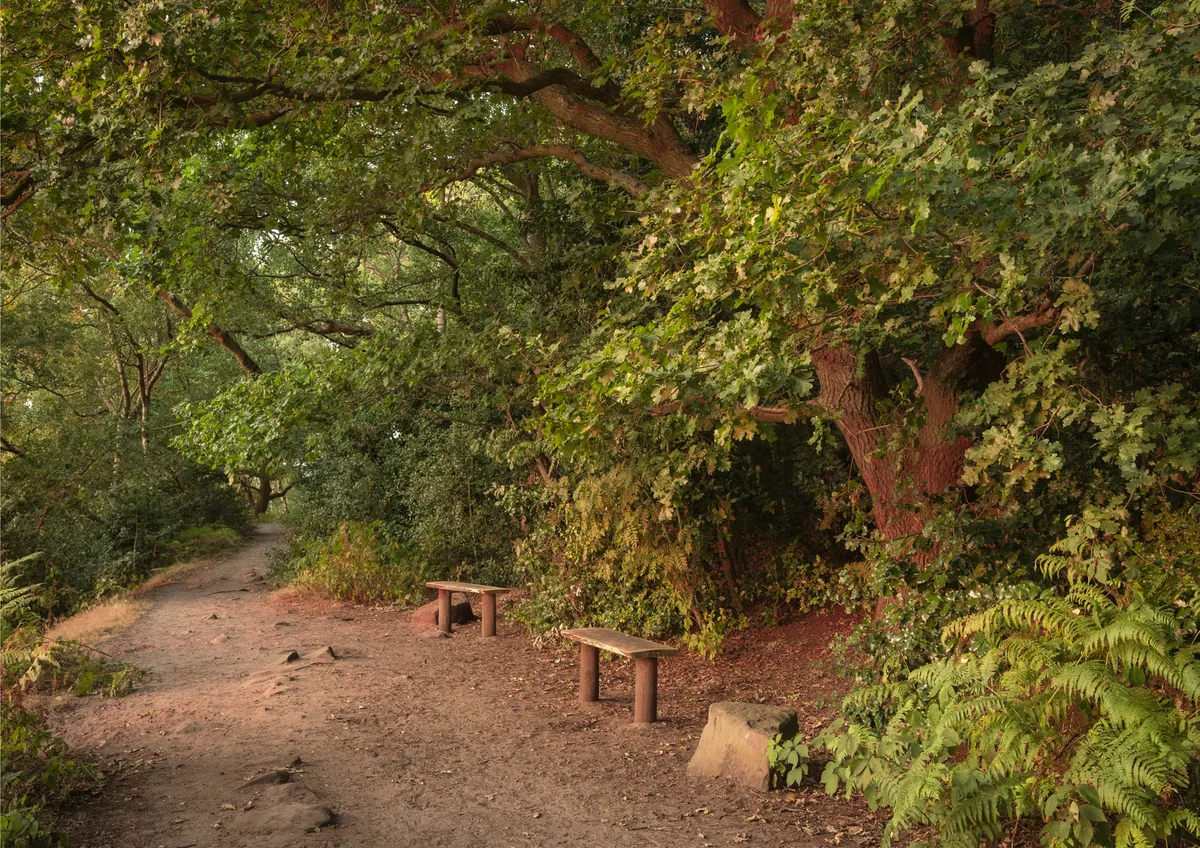 Middle Walk, Sunset