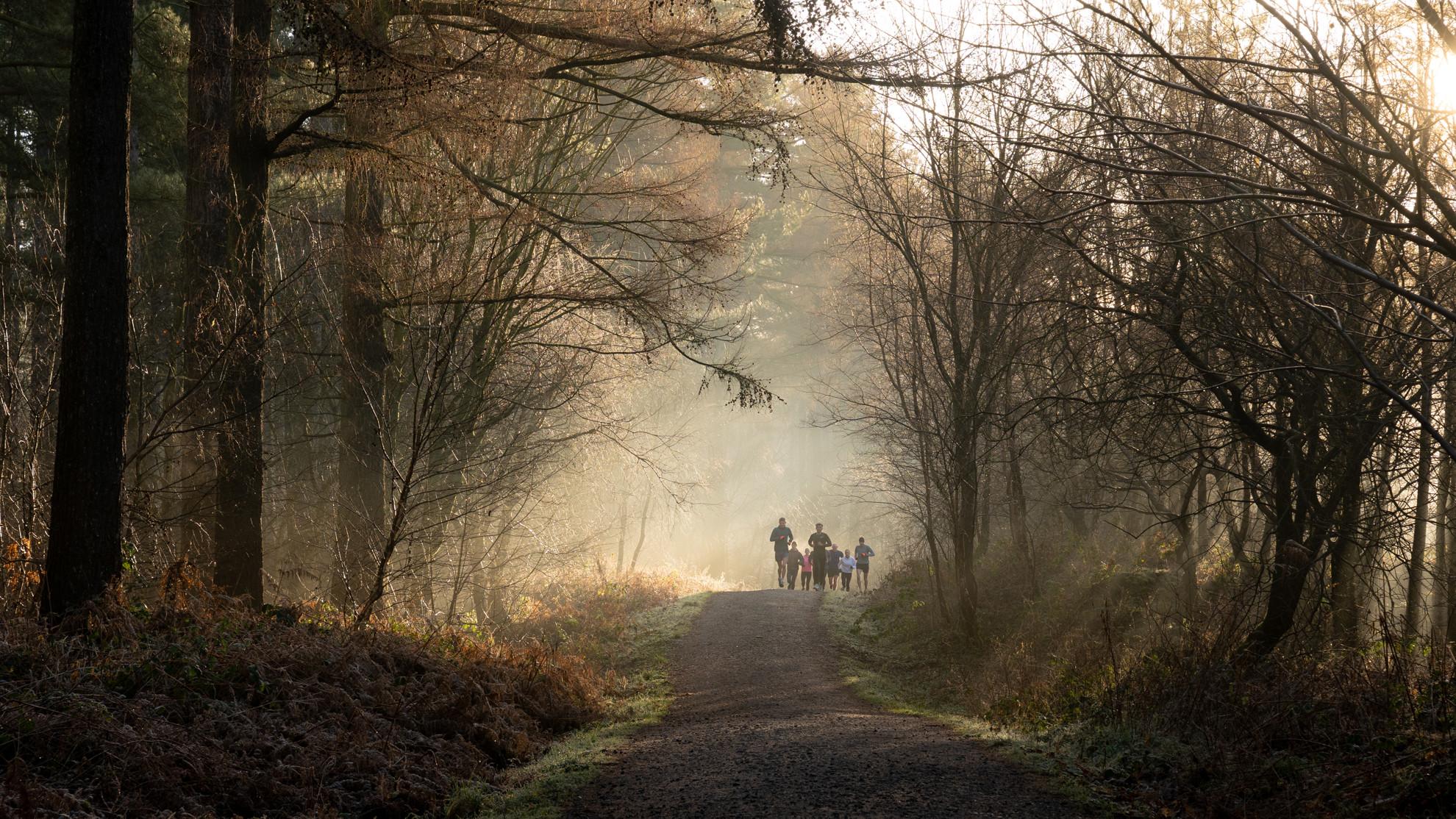 Winter Trail Runners