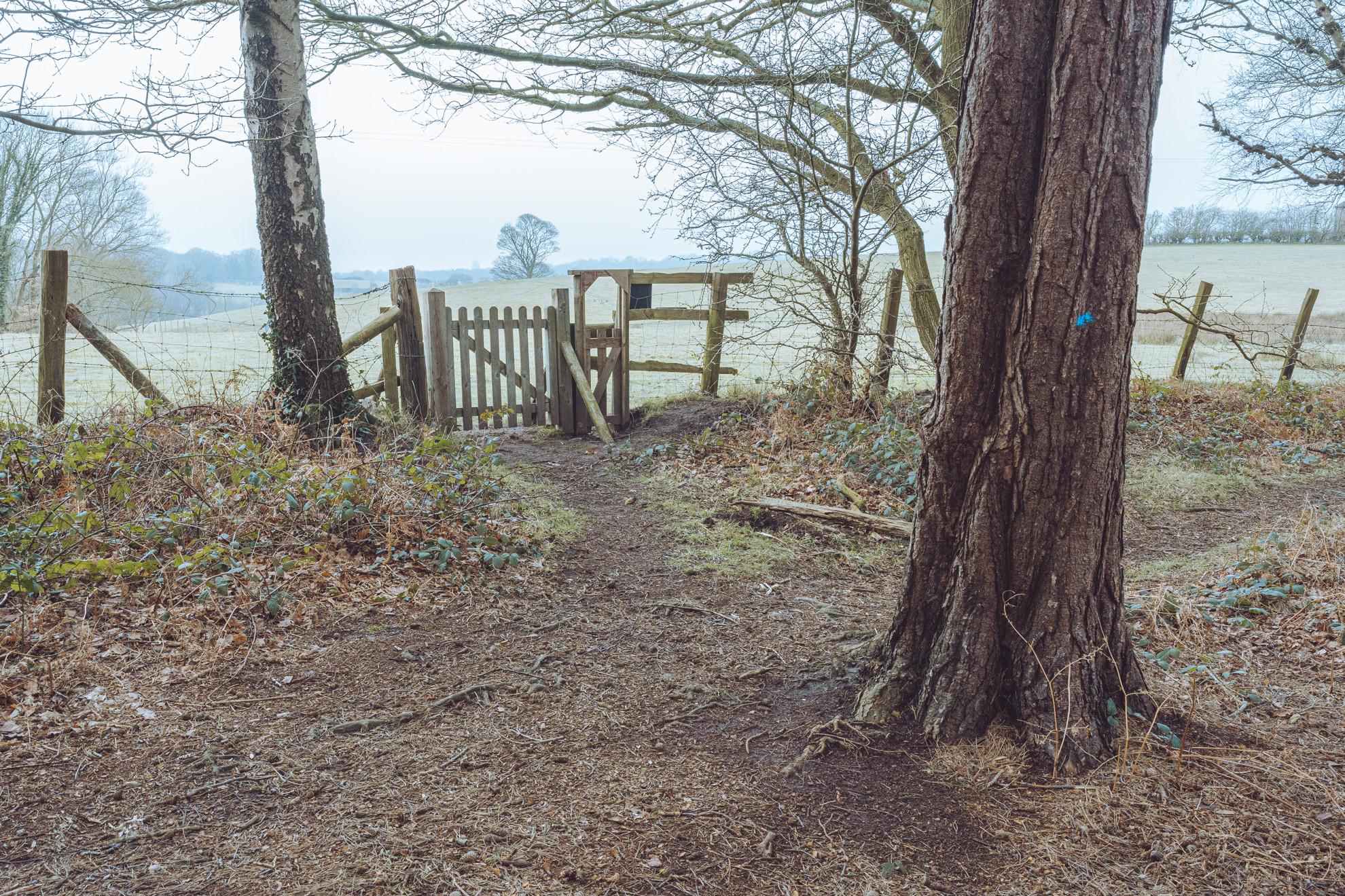 Woodland Gate