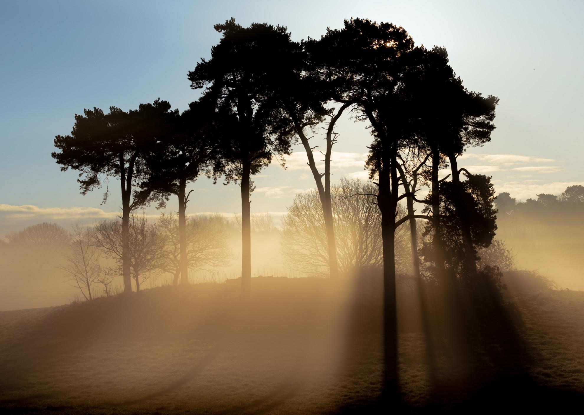 Hilltop Sunburst