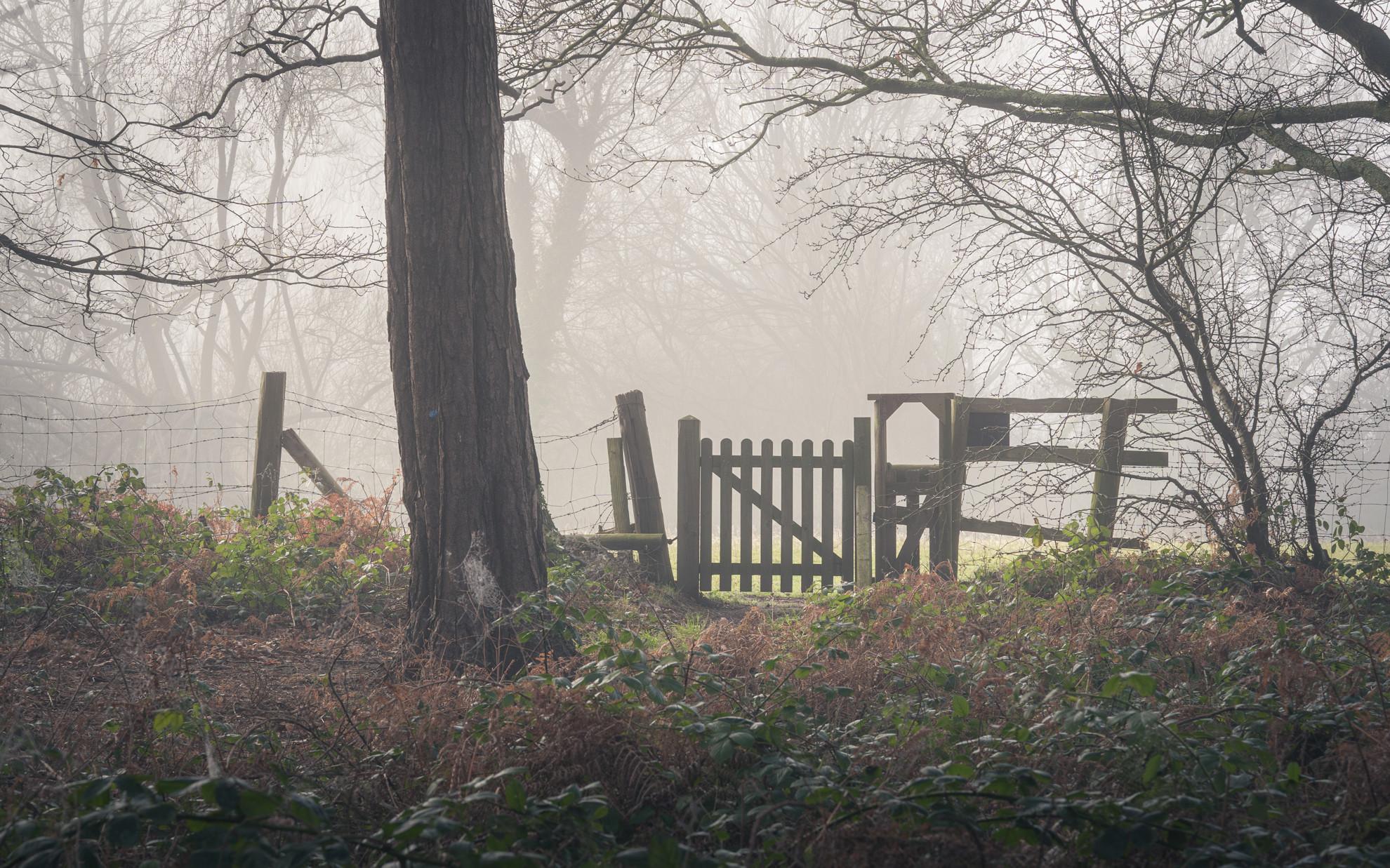 Misty Gate