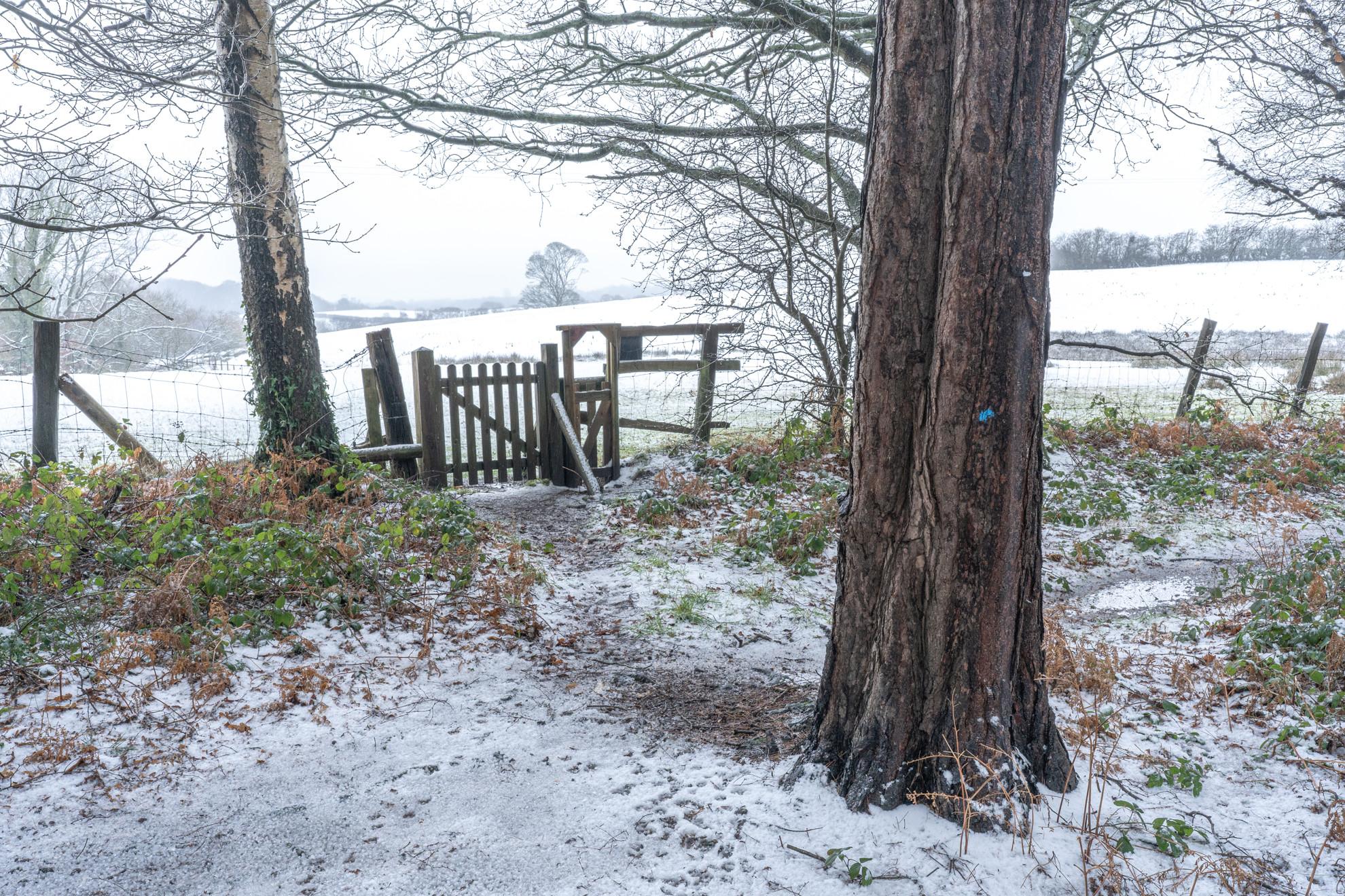 Snowy Gate