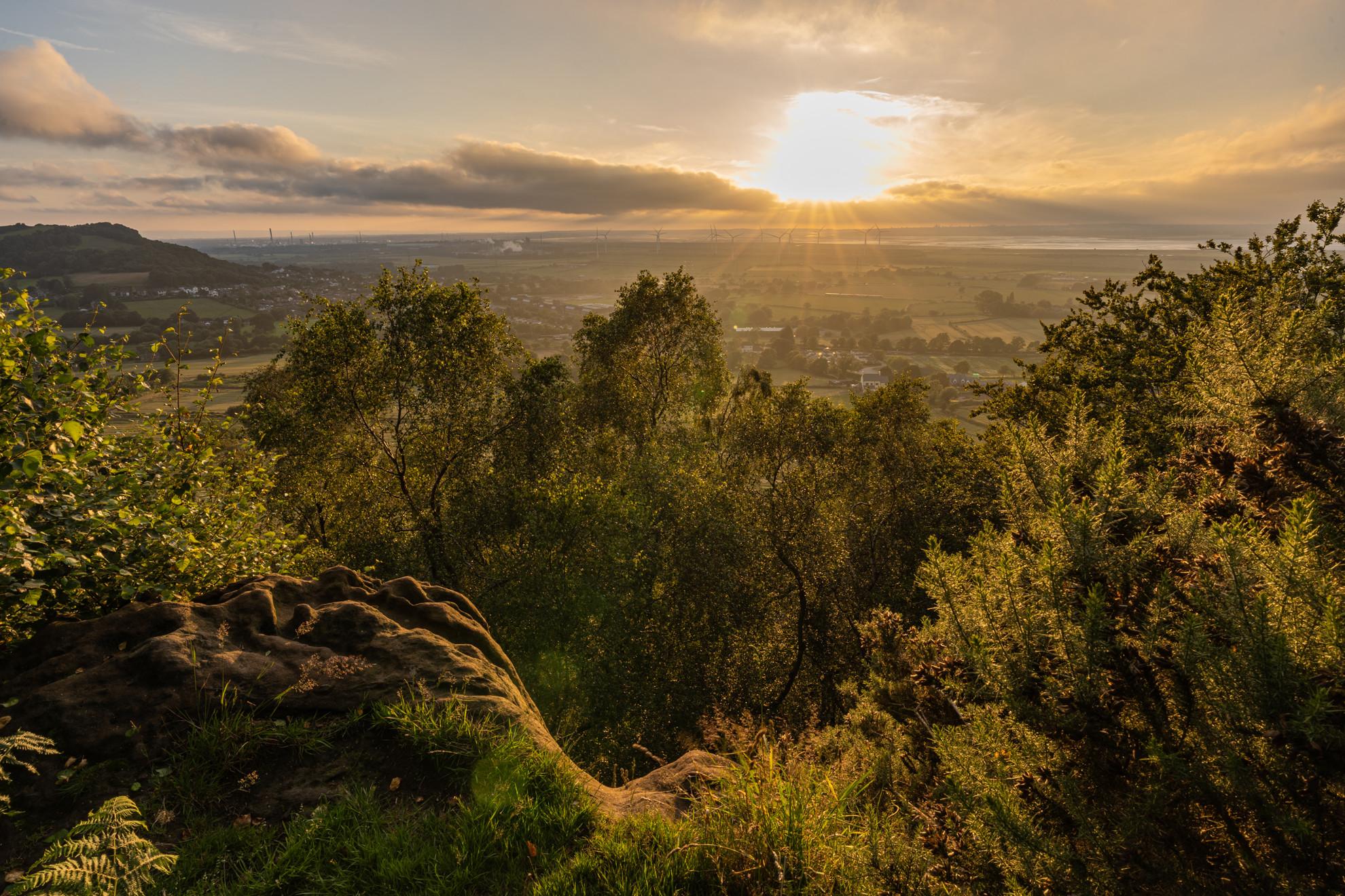 Hilltop Sunburst