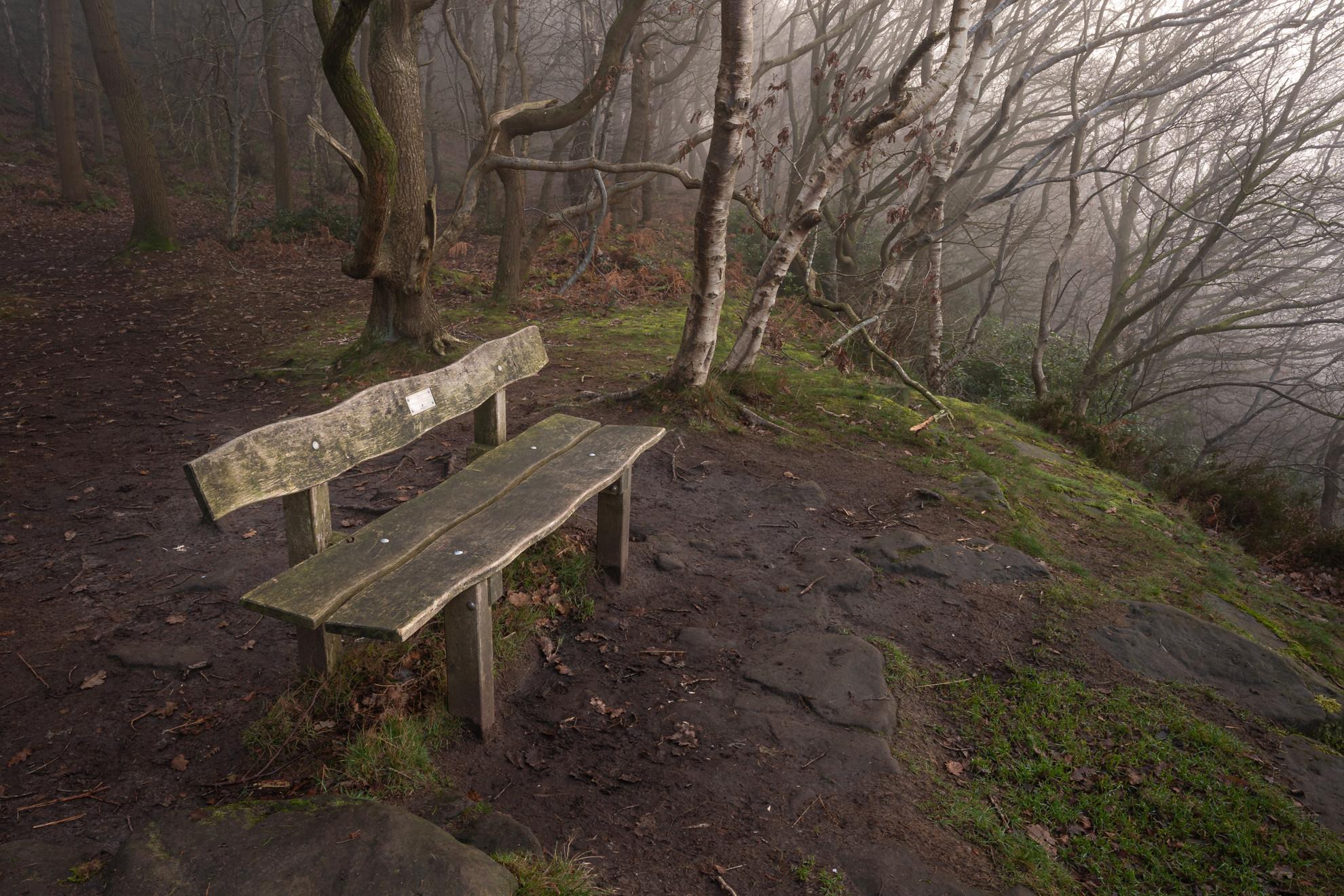 Misty Hilltop Bench