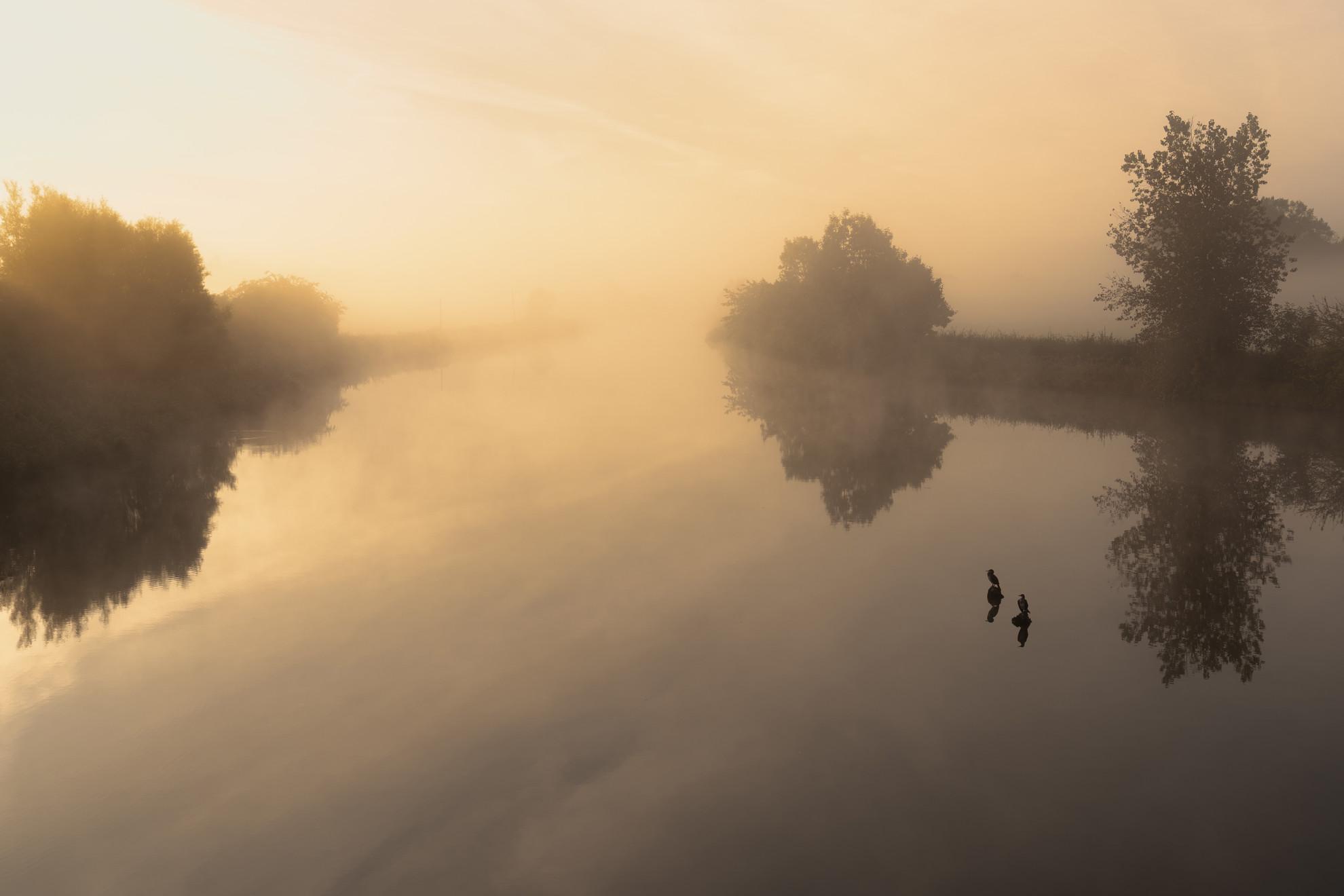 Weaver Morning Calm