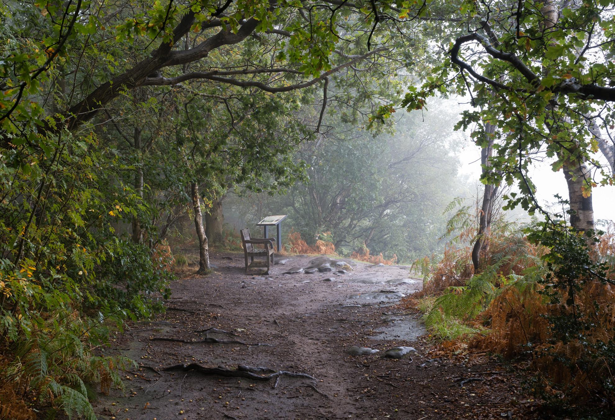 Hilltop Rest