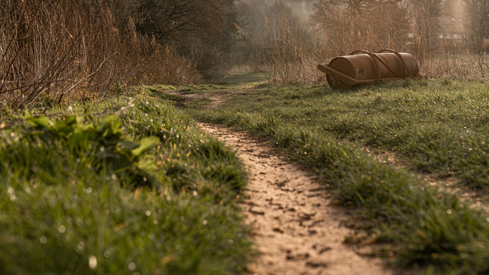 Tarvin Road Trail