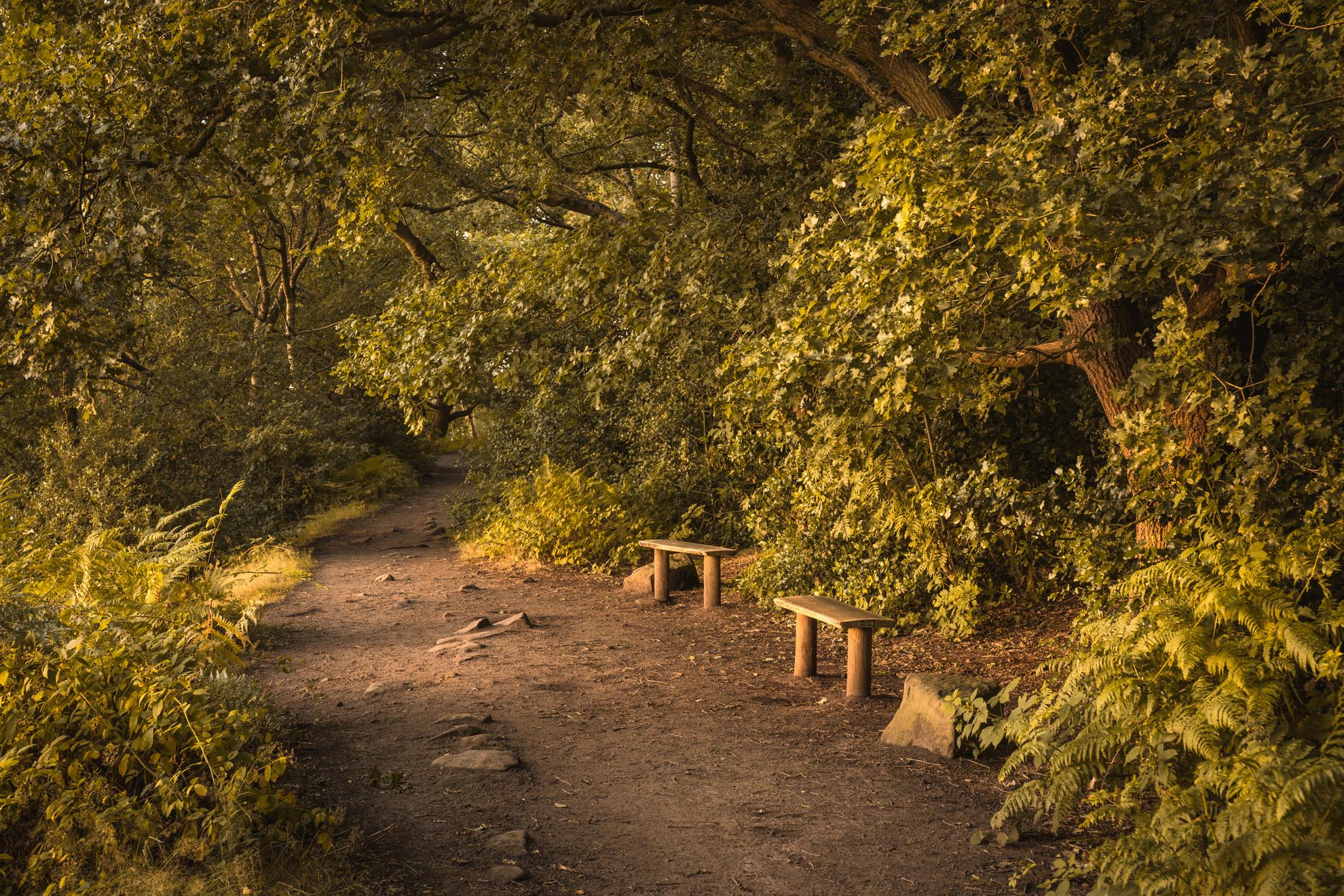 Middle Walk