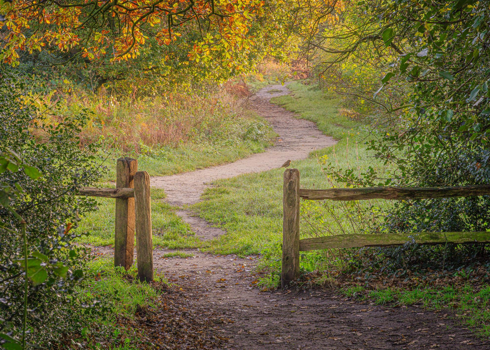 Harmers Lake Path