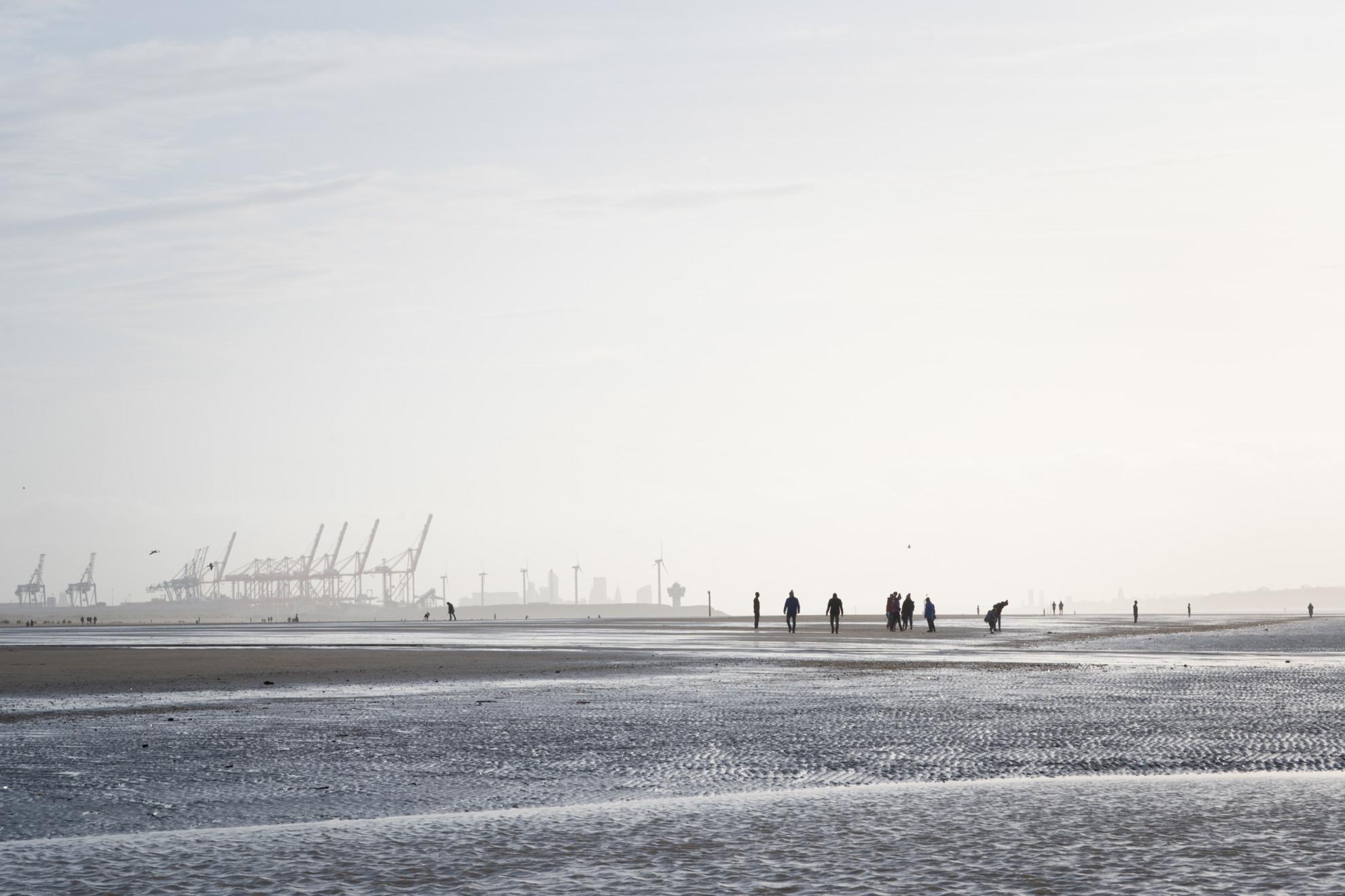 Crosby Beach Walkers
